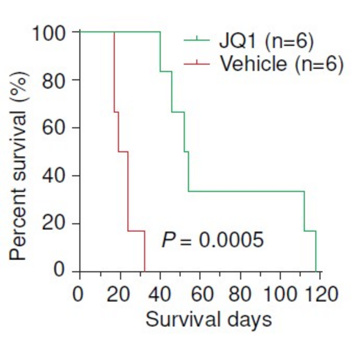 BRD4 Inhibitor Extends Survival in Mouse Model