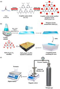 Graphical representation of water filtration experiment