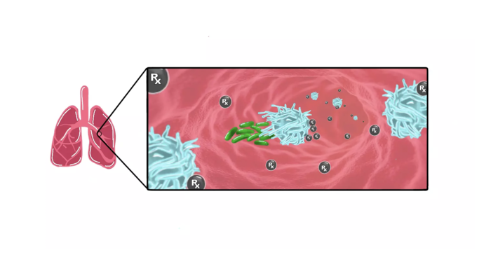 Killing invading bacteria that cause tuberculosis