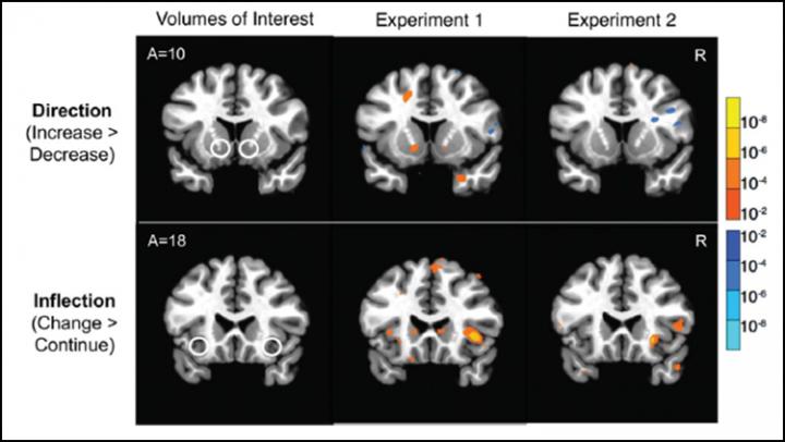Brain Activity Foreshadows Changes in Stock Prices