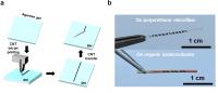 CNT microelectrodes onto the microfiber