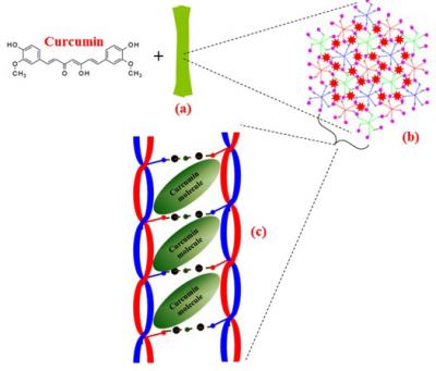 Nutraceutical Compounds