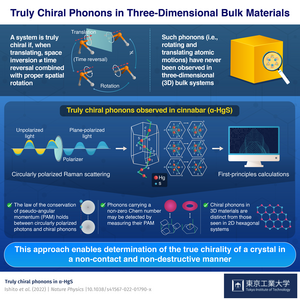 Truly Chiral Phonons in Three-Dimensional Bulk Materials