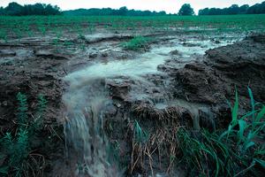 A new study examines how phosphorus from agricultural runoff can become buried and re-released in the Mississippi River system, possibly delaying water quality improvement efforts in the Gulf of Mexico.