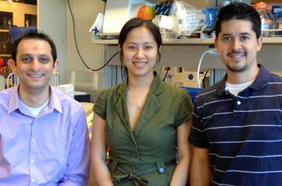Mehul Suthar, Helene Liu and Hilario Ramos, University of Washington