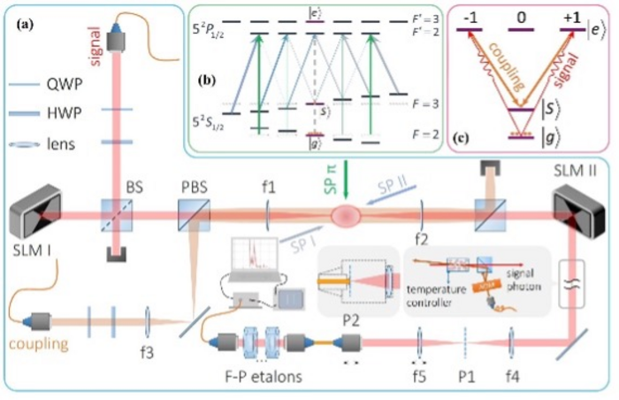 Long-Lived Memory for Orbital Angular Momentum Quantum States