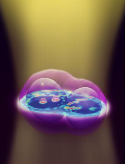 White-Light Diffraction Tomography