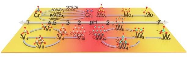 The brief evolution diagram of metal speciation transformation.