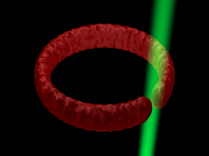 Superfluid Circuit Ring Of U [image] Eurekalert Science News Releases