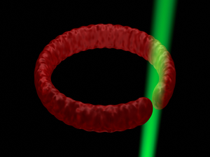 Superfluid circuit _ ring of ultracold fermions