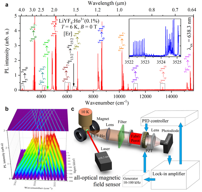 Working principle of a remote magnetic field sensor