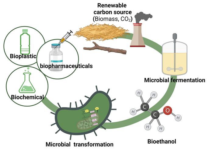 Ethanol: a Viable Alternative to Sugar-based Carbon Sources for Biomanufacturing