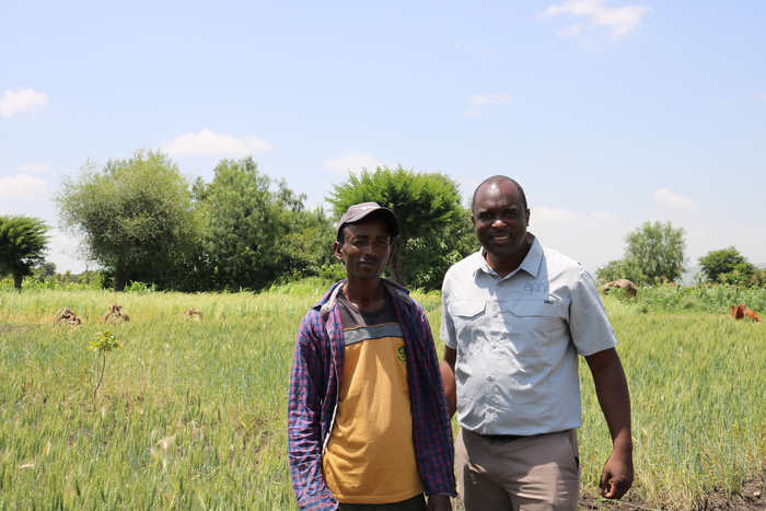On-farm experimentation Ethiopia