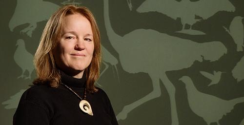 Tandy Warnow, University of Illinois at Urbana-Champaign