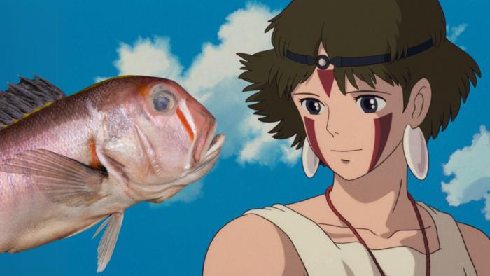 Branchiostegus sanae and San from Princess Mononoke.