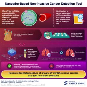 Nanowire-Based Non-Invasive Cancer Detection Tool