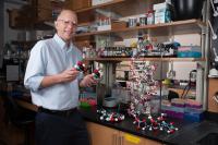 Nick Hud and RNA Model