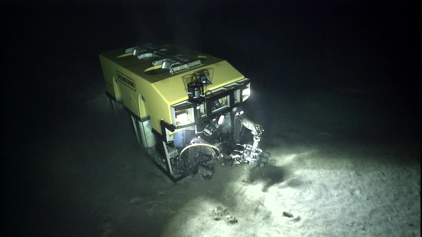 An ROV at work