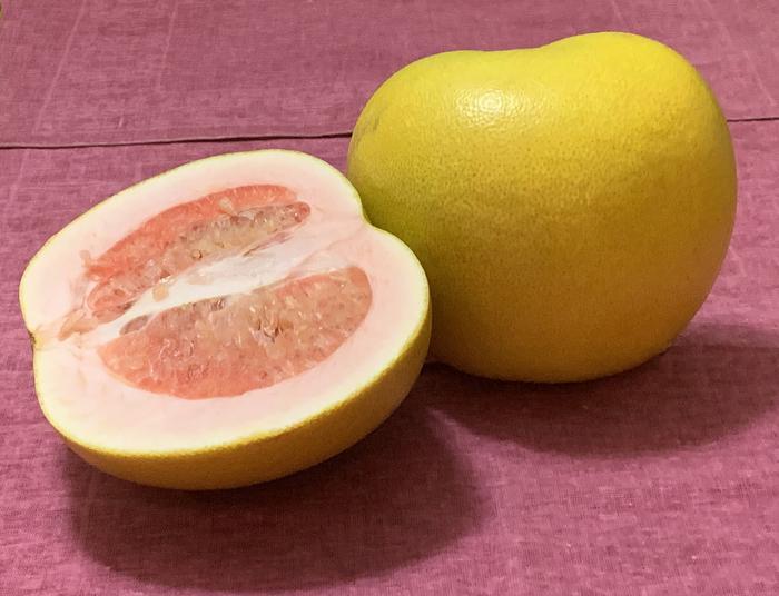 pomelo fruit cut in half