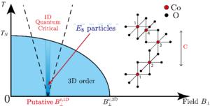 Phase diagram of BaCo2V2O8 under transverse magnetic field applied along the [010] direction