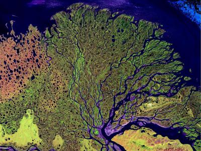 Lena River Delta, Satellite View