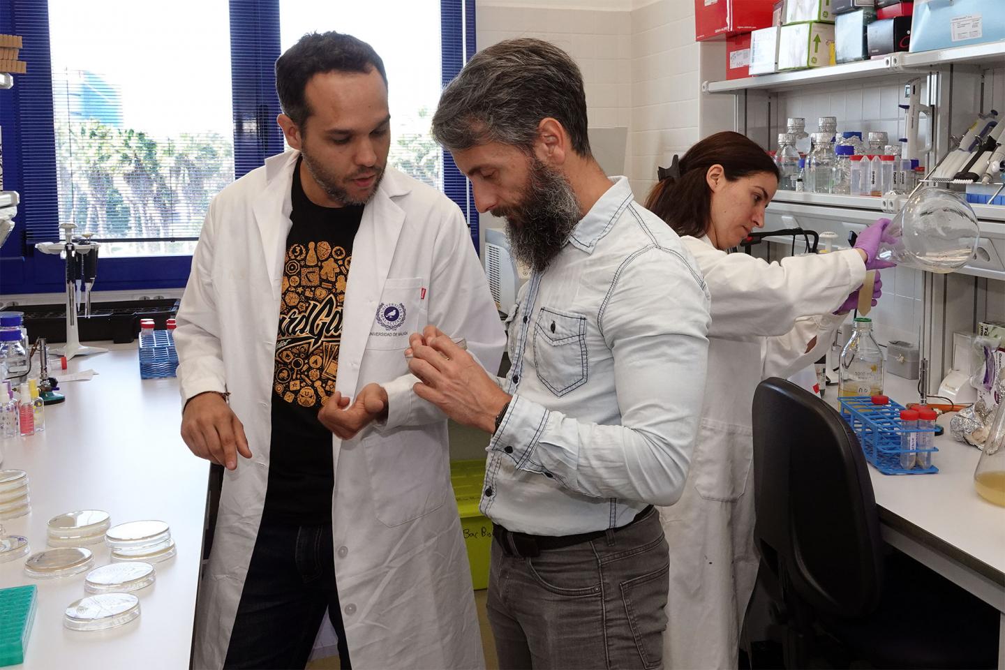 Diego Romero of the UMA, main author of this study, at BacBio Laboratory, where he conducted the research