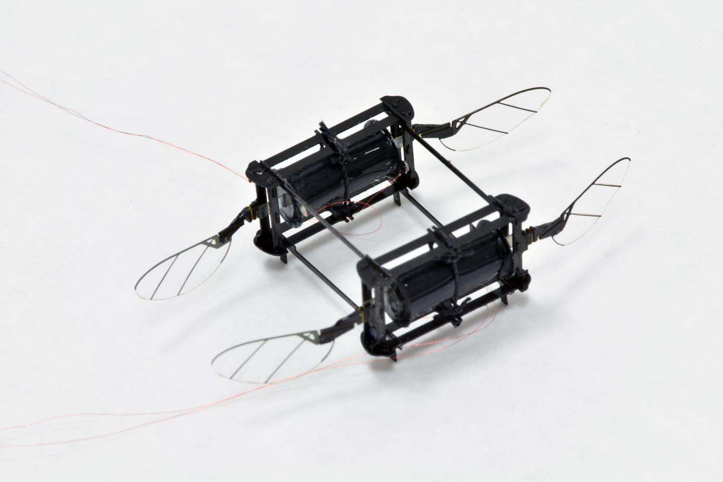 RoboBee Powered by Soft Muscles
