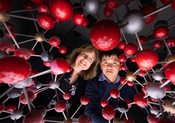 Capturing carbon in clay