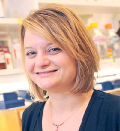 Dr. Lisa Monteggia, UT Southwestern Medical Center