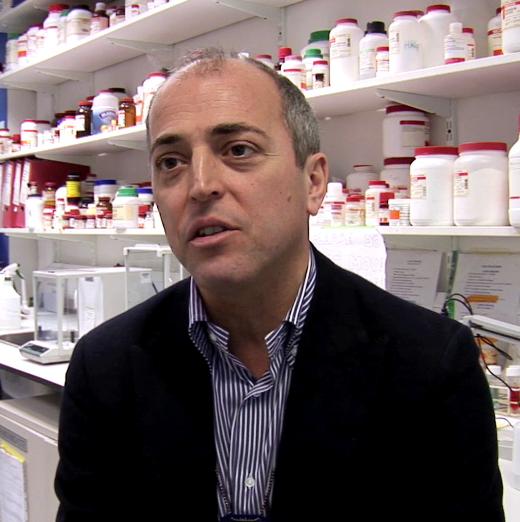 Mauro Perretti, Queen Mary University of London