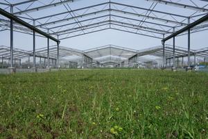 Test plot with sustainable grassland