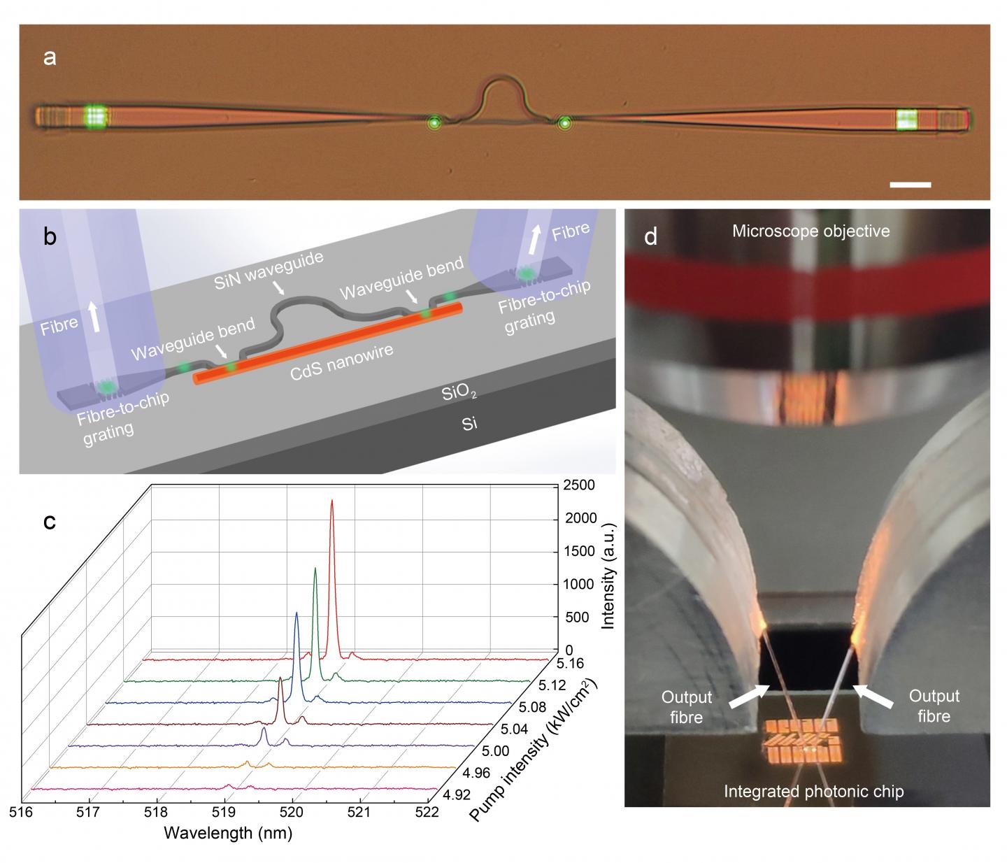 Working Principle of the On-Chip Nanowire Laser