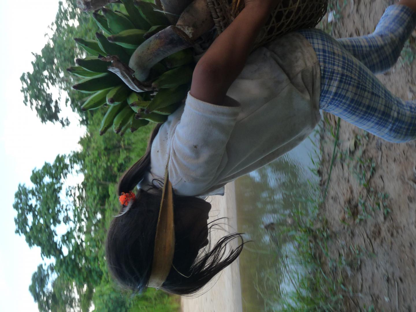 Changing Diets, Not Lower Physical Activity, May Best Explain Global Childhood Obesity Crisis