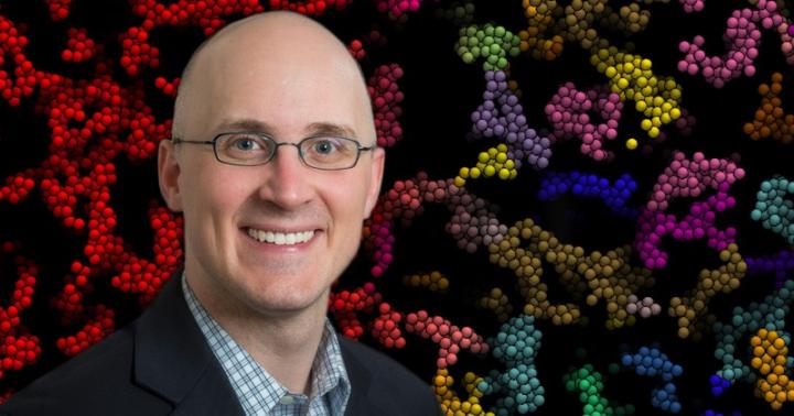 What Gives Gels their Bounce?