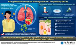 Meclofenamate as a Novel Drug for Treating Abnormal Respiratory Mucus