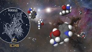 Tryptophan molecules in the star-forming region IC 348