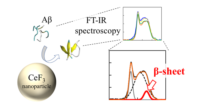 Infrared (FT-IR) spectra and β-sheet ratio of Aβ peptides interacted with CeF3 NPs.