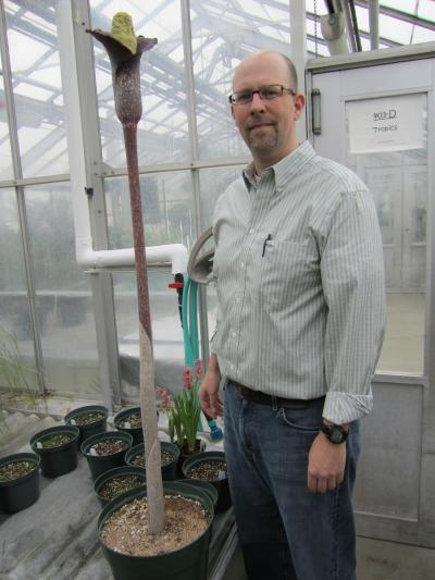 Botanist Greg Wahlert and <I>Amorphophallus perrieri</I>