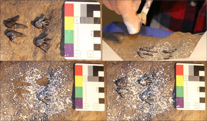 Rockshelter miniature art