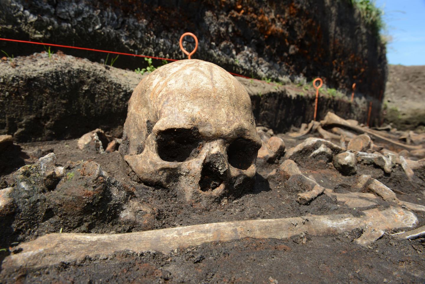 Bronze Age Skull