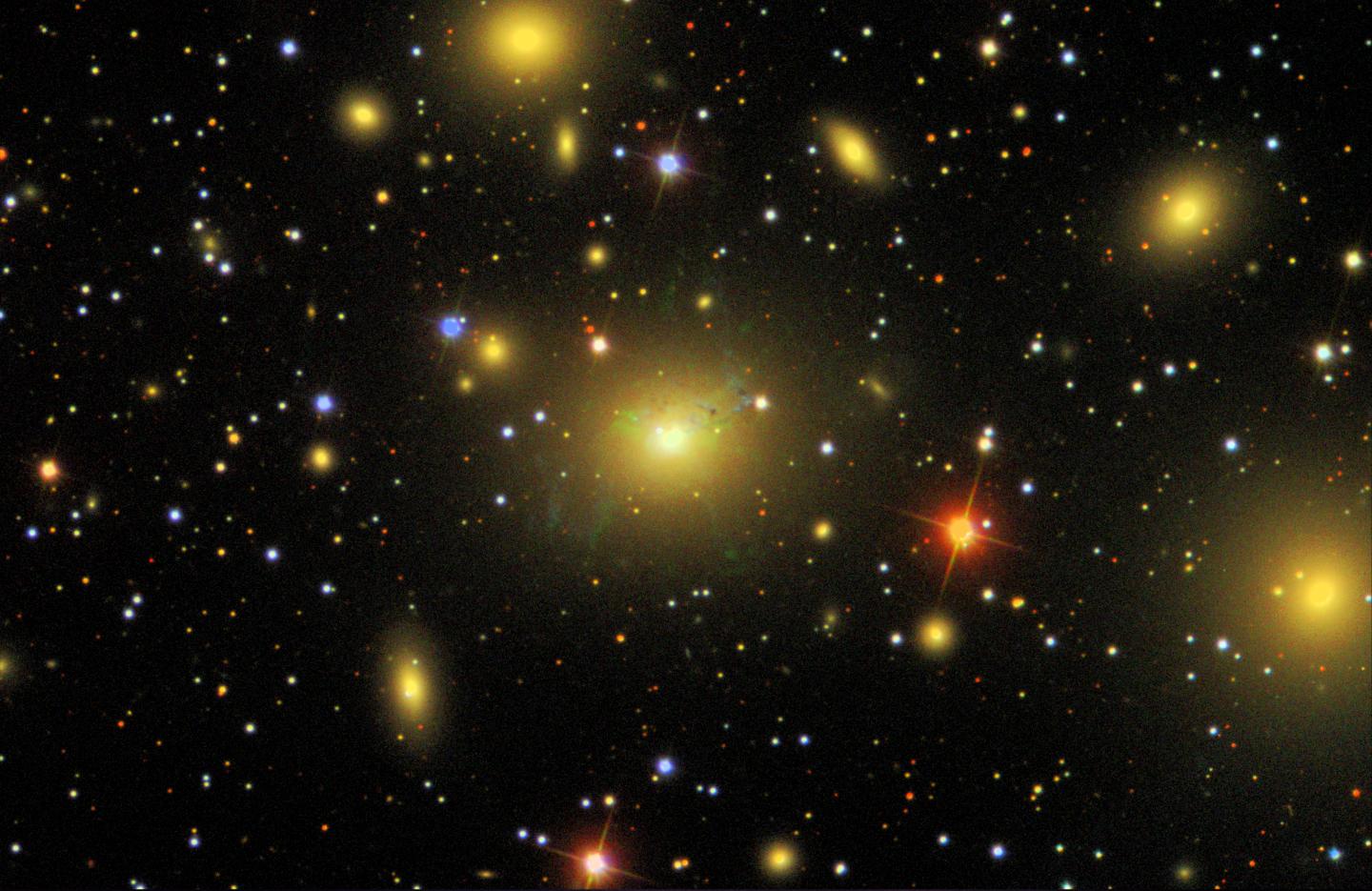 The Perseus Galaxy Cluster