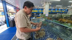 Prof. Peter Ng examining giant isopods from a seafood market