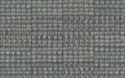 480 Views of a Man Swinging a Bat