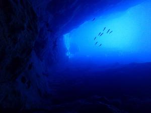 Underwater scenery at the Ogasawara Islands