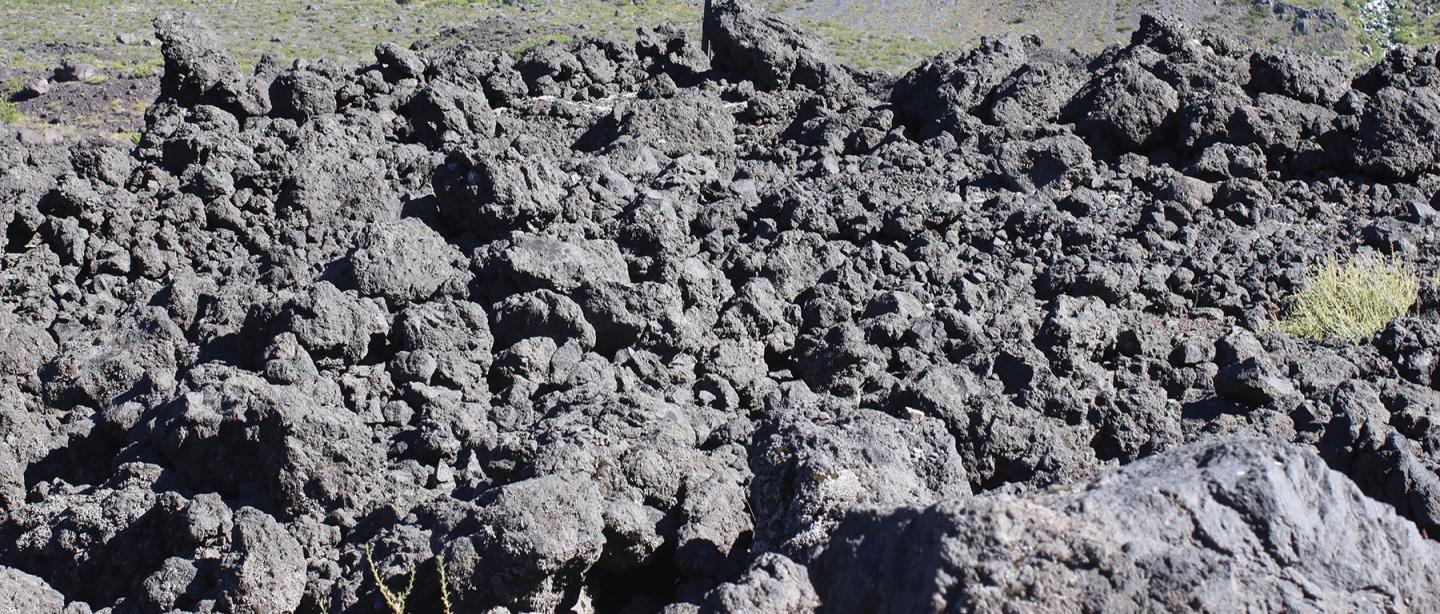 <i>Liolaemus scorialis</i> (2 of 2)