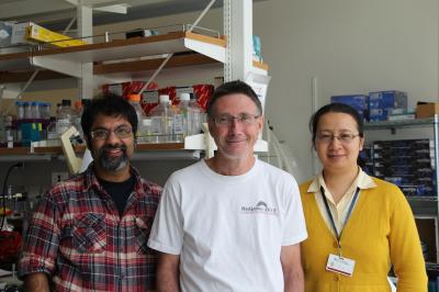 Jing Liu, Andy McMahon and Sanjeev Kumar, University of Southern California - Health Sciences