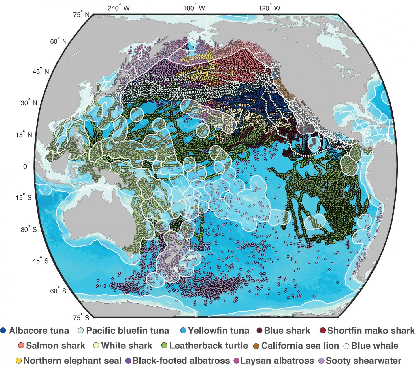 Map of Migration Tracking Data