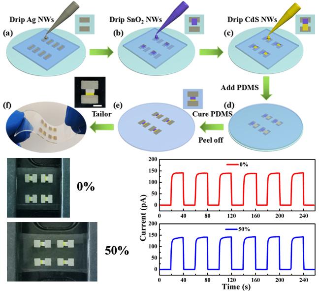 Schematic Illustration