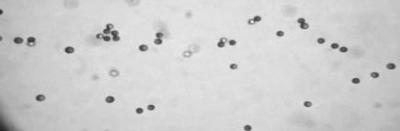 'Two-Faced' Particles Act Like Tiny Submarines