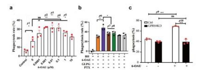 Pro-phagocytic function and structural basis of GPR84 signaling